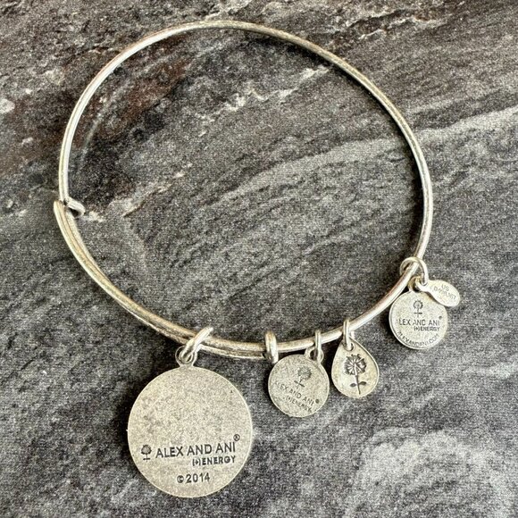 Blessed Bond Alex and Ani Goddaughter Charm Bracelet in Rafaelian Silver 2014 Se - Picture 5 of 14